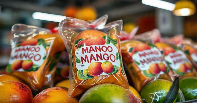 Rótulos de Manga: Dicas Essenciais e Ideias Criativas para Personalizar Seus Produtos